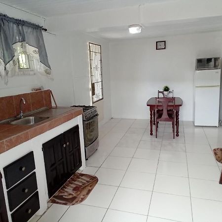 LADVILLE Apartment near Kingstown #1 Esterno foto